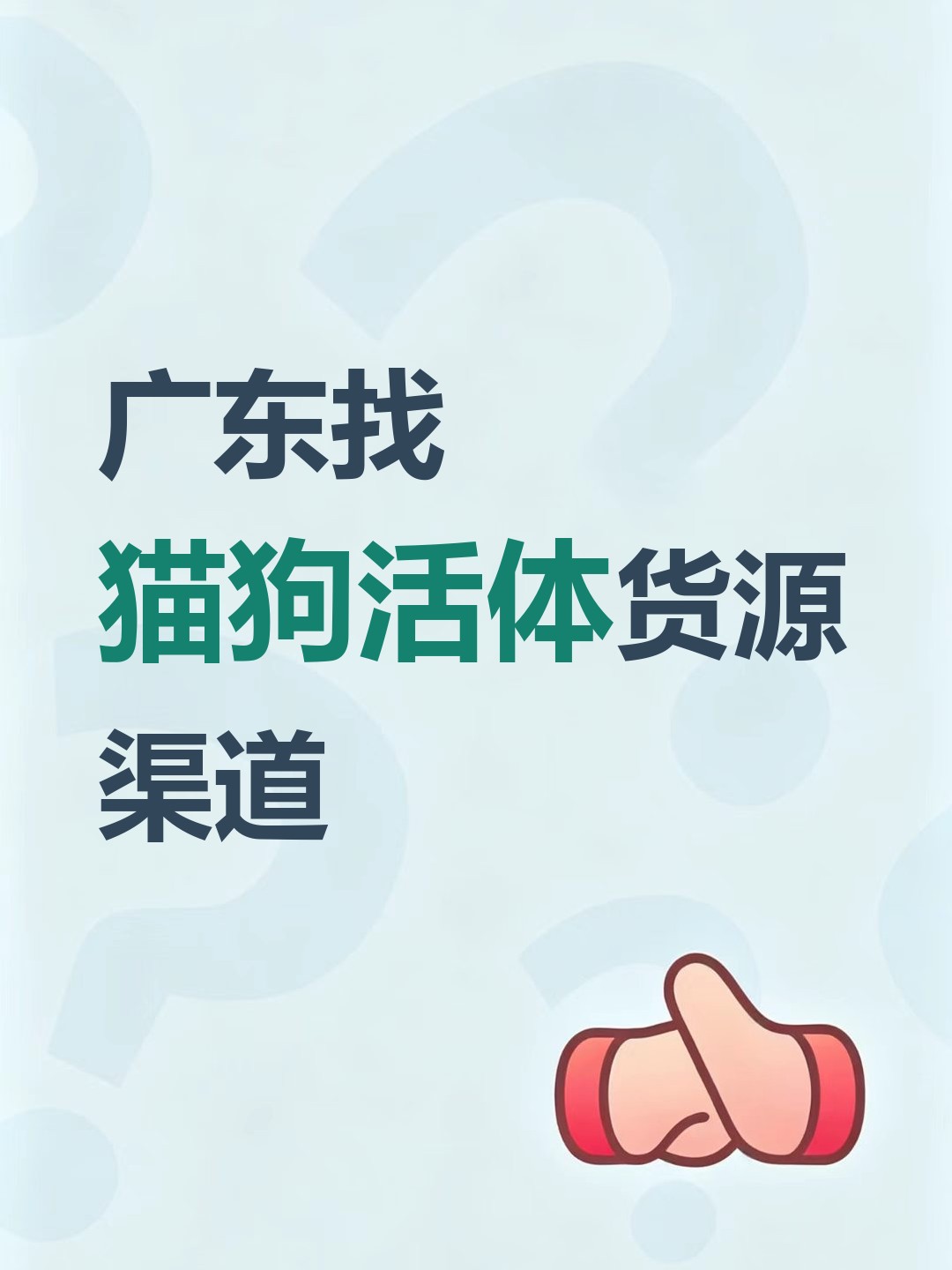 广东找猫狗活体货源渠道-云仓汇