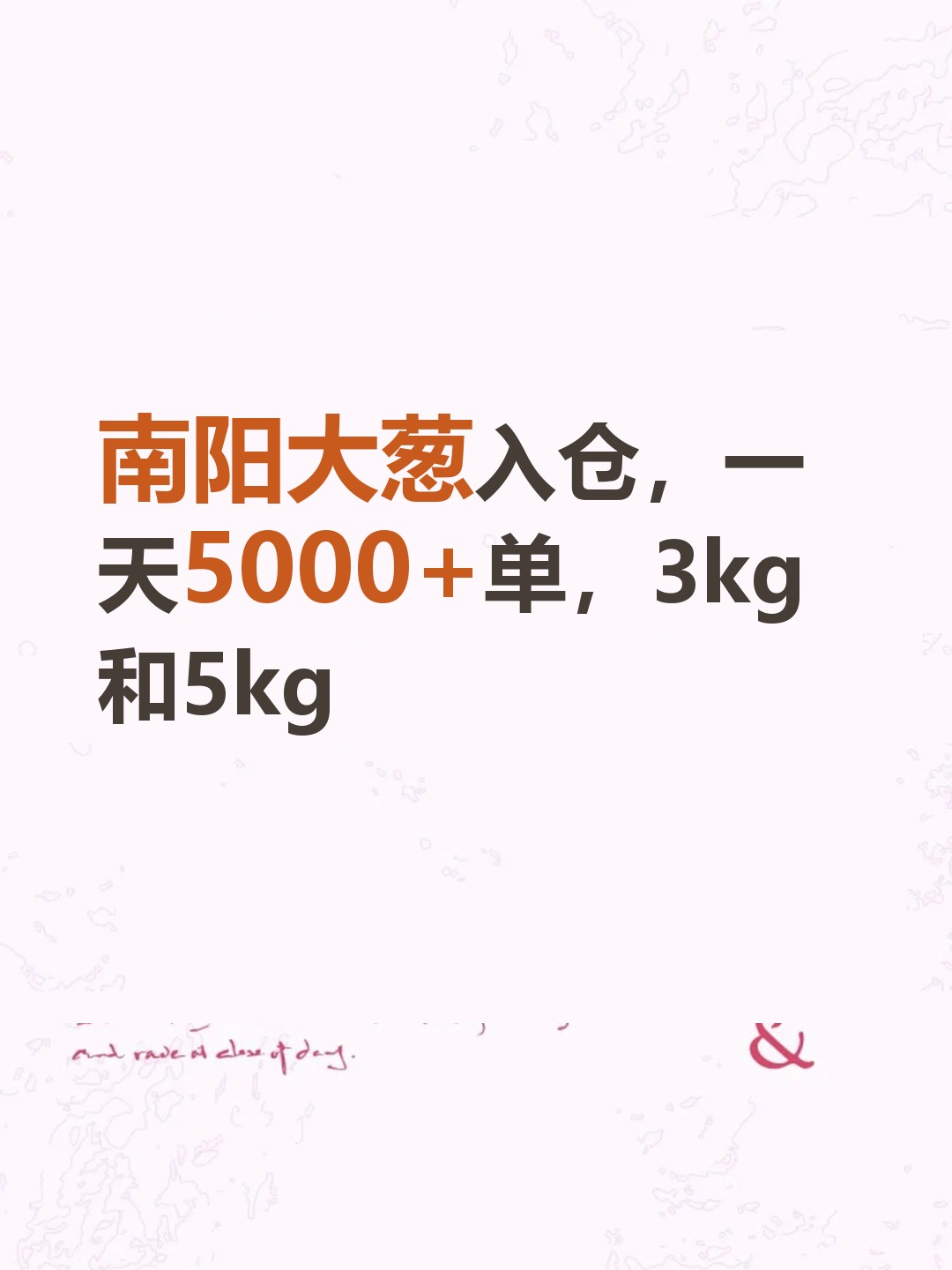 南阳大葱入仓，一天5000+单，3kg和5kg